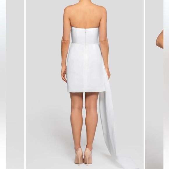 Alexia Maria Nadine Silk Draped Strapless Minidress - Picture 2 of 12